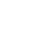 Apple Apple