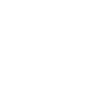 Бирюса