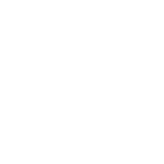 Roborock