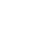 ЗУБР