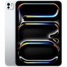 Apple iPad Pro 11 (2024) 256Gb Wi-Fi with Standard glass (Silver)