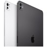 Apple iPad Pro 11 (2024) 256Gb Wi-Fi with Standard glass (Space Black)