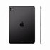 Apple iPad Pro 11 (2024) 256Gb Wi-Fi with Standard glass (Space Black)