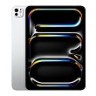 Apple iPad Pro 13 (2024) 2Tb Wi-Fi + Cellular with Standard glass (Silver)