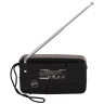 Радиоприемник Soundmax SM-RD2101 (q)