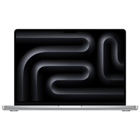 Apple MacBook Pro 14 2024 M4 16Gb/512Gb (Silver) (MW2W3)
