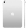Apple iPad (2025) Wi-Fi + Cellular 256Gb (Silver)