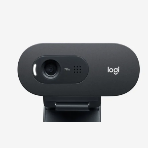 Web-камера Logitech C505e (q)